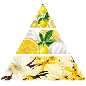 Fondants parfumés Citron meringué