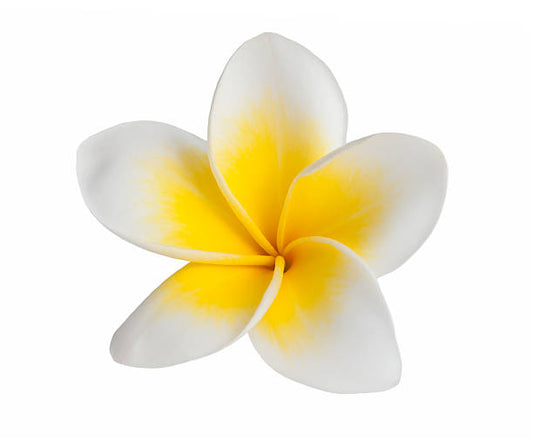 Fondant parfumé Fleur de tiaré