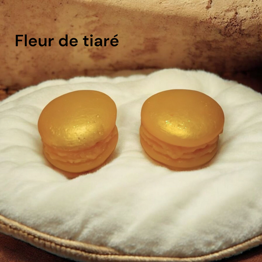 Fondants Macarons